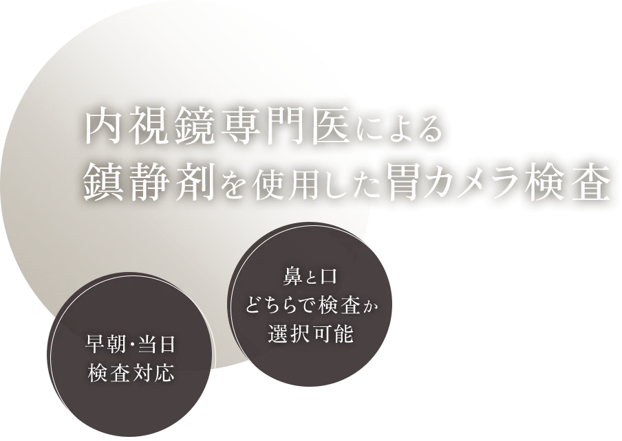 内視鏡専門医による鎮静剤を使用した胃カメラ検査 早朝・当日検査対応/鼻と口どちらで検査か選択可能