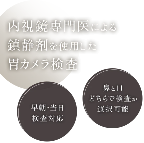 内視鏡専門医による鎮静剤を使用した胃カメラ検査 早朝・当日検査対応/鼻と口どちらで検査か選択可能