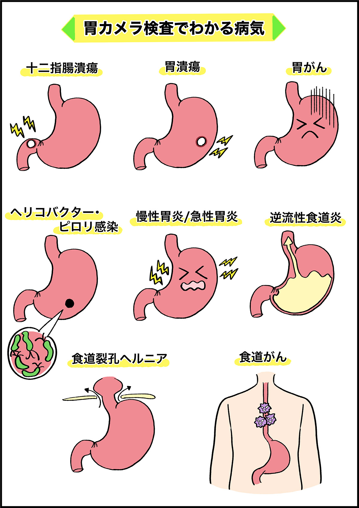 5ページ